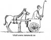 horse-cart.jpg