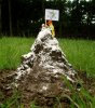 mountain molehill.jpg