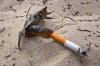 smokingcrab.jpg