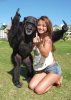 1409-vulgar-monkey.jpg
