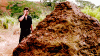 upload_2021-10-6_11-37-36.gif