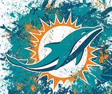 GoPhins!