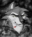 bgbdwolf31313
