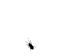 PrOpAiN