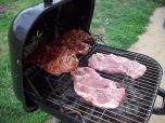 bbqpitlover