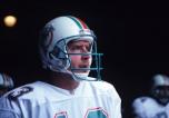 Miami_Dolfan