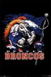 BroncoFanBoy