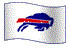 BuffaloStampede
