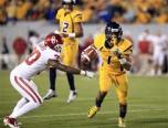 WVUFinFan