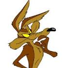 Wile e coyote