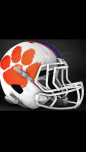 ClemsonFan