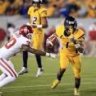 WVUFinFan