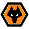 Miami Wolves