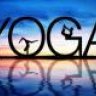 yogi superstar