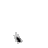 PrOpAiN