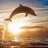 Dolphin Dundee